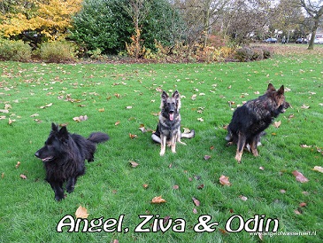 Angel op de kiek met zoon Odin en kleindochter Ziva